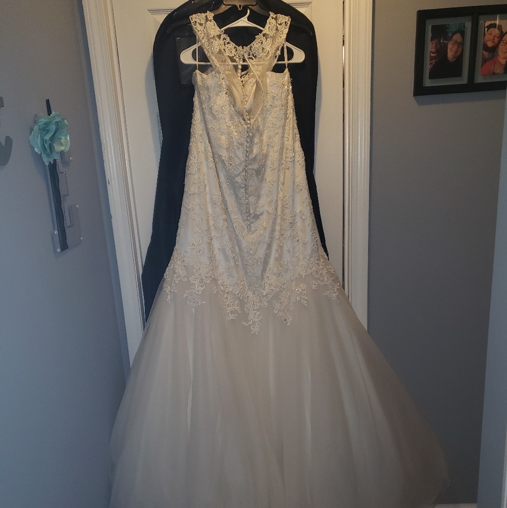 Size 22 mermaid wedding dress - Picture 2 of 8